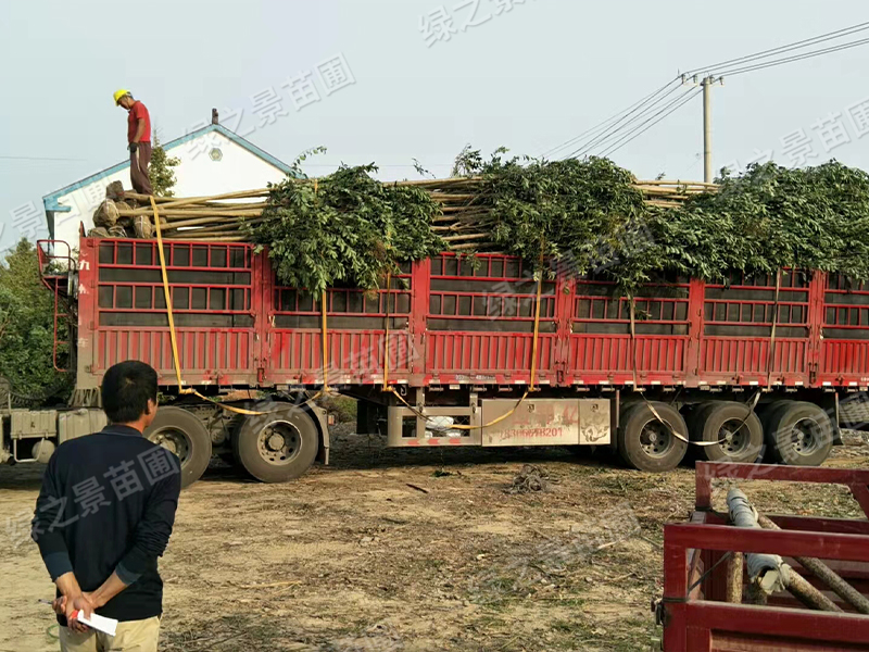 发货现场