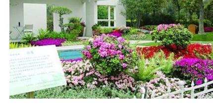 �칫��ֲ�����