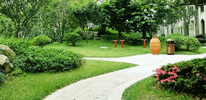 ��ֲͨ������